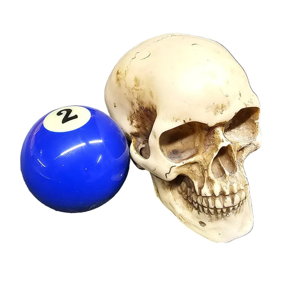 BIG Skull Shift Knob — Sturdy, Detailed, and One‑of‑a‑Kind