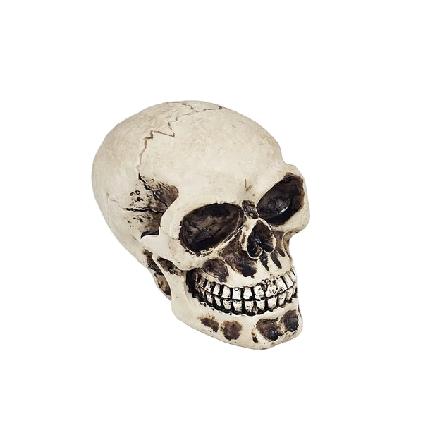 Skull Series