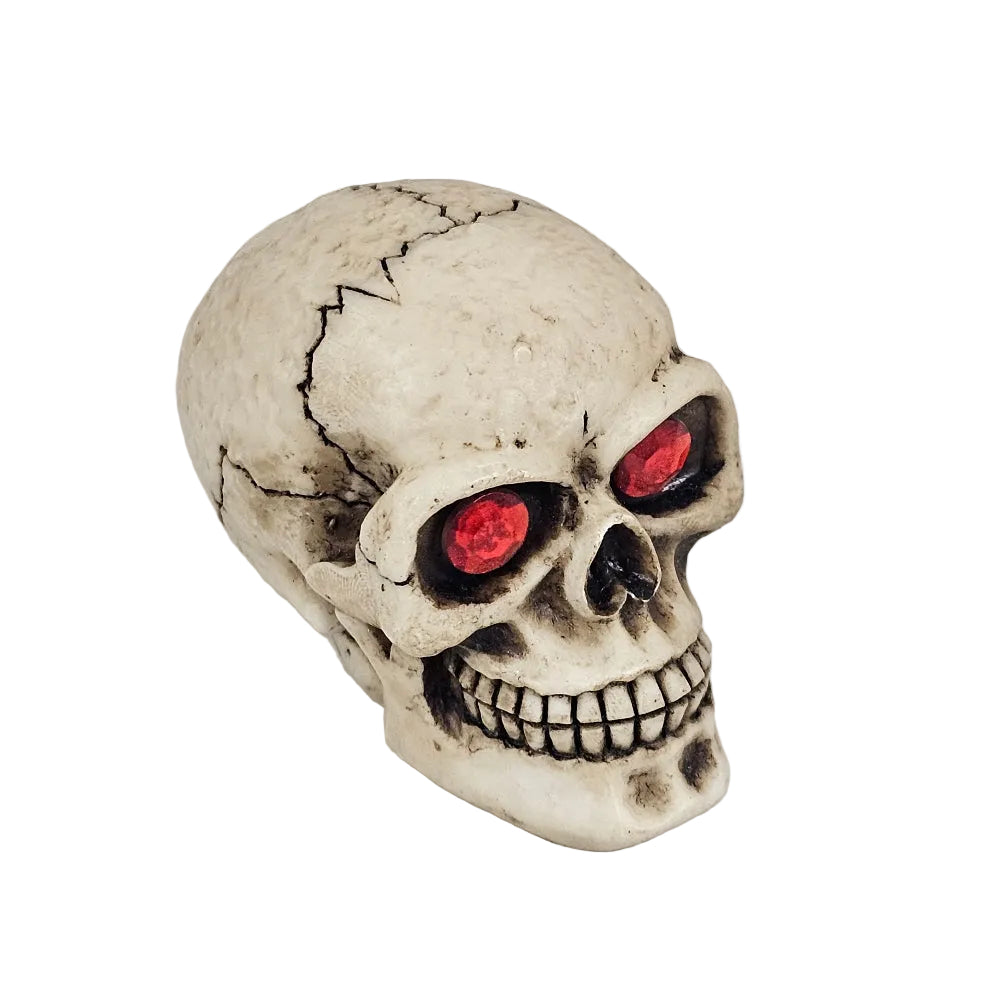 Skull Series