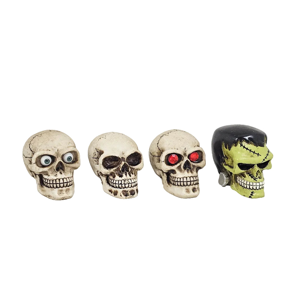 Skull Series
